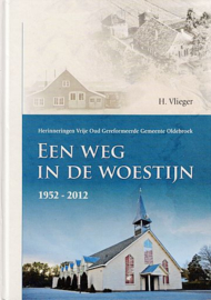 VLIEGER, H. - Een weg in  de woestijn