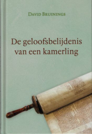 BRUININGS, David - De geloofsbelijdenis van de kamerling