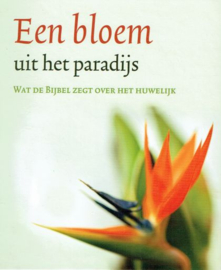 FLAPPER, D.C. e.a. - Een bloem uit het paradijs