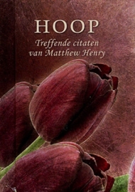 HENRY, Matthew  - Pareltjes - Hoop