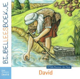 HAAN, Ditteke den - Bijbelleesboekje - David - OT8