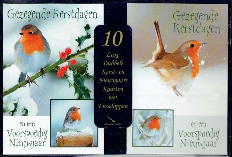 Gezegende Kerstdagen en een Voorspoedig Nieuwjaar Kerstkaarten