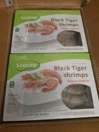 Black Tiger Shrimp / Jona / 1 kilo