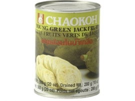 Green Jackfruit / Chaokoh / 560 gram (Thailand)