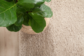 Vloerkleed Bold Beige 31928160230