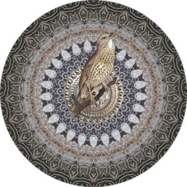 Behang Expresse Circle Of Life Muddy Circle TD4200