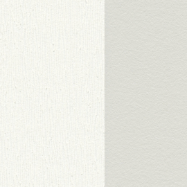 AS Creation Trendwall 2  38101-2