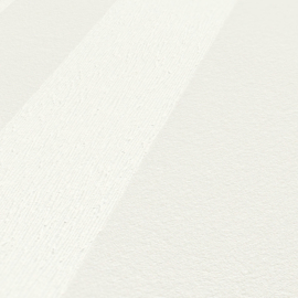 AS Creation Trendwall 2  38101-1