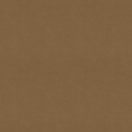 Dutch Wallcoverings First Class Baile Behang BA0014