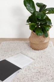 Vloerkleed Bold Ivory 31923160230