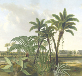 Behang Expresse Treasures Of Nature TD4251