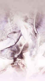 Dutch Wall Decor Fashion For Walls 4 Fotobehang 2550N-82