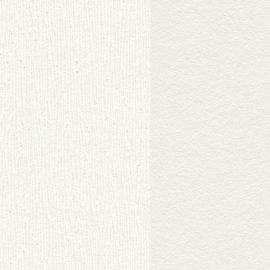 AS Creation Trendwall 2  38101-1