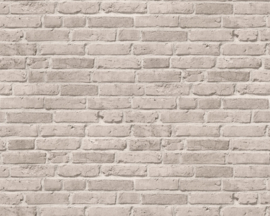 steen behang beige grijs    343992