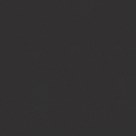 AS Creation Trendwall 2  36932-2