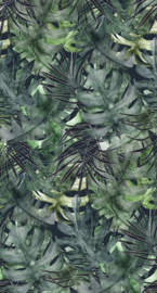 Behang Expresse Treasures Of Nature TD4288