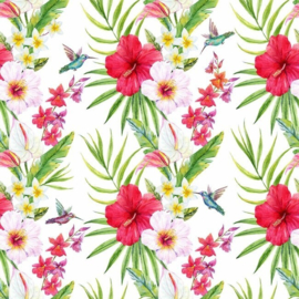 AS Creation Greenery Digital Print Colibri I DD116608