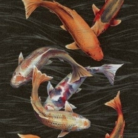 Koi karper vissen vlies behang Natural Instinct 781014