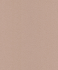 Dutch Asperia Behang  JF1213