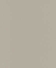 Dutch Asperia Behang  JF1214