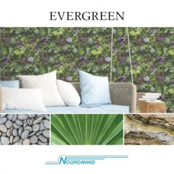 Noordwand Evergreen