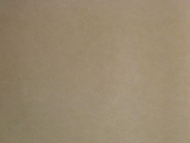 Beige Bruin Vinyl Behang EW1014