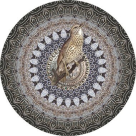 Behang Expresse Circle Of Life Muddy Circle TD4201