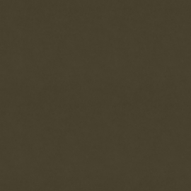 Dutch Wallcoverings First Class Balie Behang BA0005