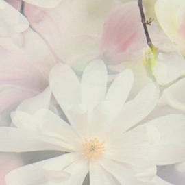 A.S Creation Pintwalls Bloemen Behang 38722-1