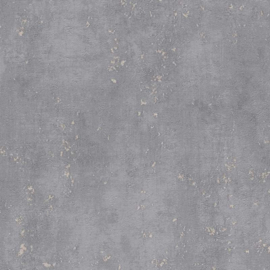 A.S Creation Titanium 3 Behang 38195-2