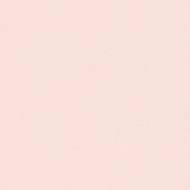 AS Creation Trendwall 2  37970-2