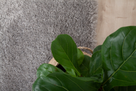 Vloerkleed Bold Grey 31918160230