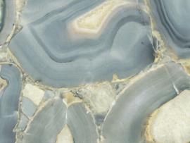 Dutch Wallcoverings Carrara Best Fotobehang 85655