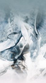 Dutch Wall Decor Fashion For Walls 4 Fotobehang 2550N-81