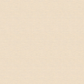 AS Creation Trendwall 2  30689-6