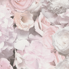 AS Creation Trendwall 2  38008-2