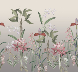 Behang Expresse Treasures Of Nature TD4281