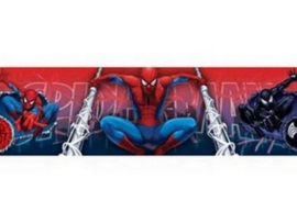 rood blauw stoer spiderman behangrand