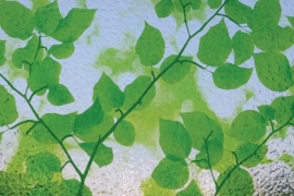 Statische raamfolie bladeren groen  -49