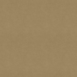 Dutch Wallcoverings First Class Baile Behang BA0003