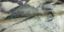 Dutch Wallcoverings Carrara Best Fotobehang 85651