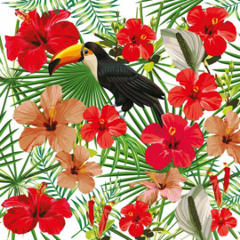 AS Creation Greenery Digital Print Toucan I DD116609