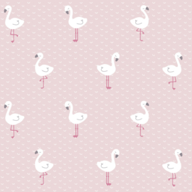 Behang Expresse Sweet Dreams behang Flamingo ND21121