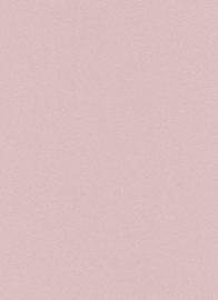 Glitter behang spachtelpoetzprint 892203