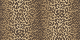 Dutch Wallcoverings Roberto Cavalli 9 Behang 21041