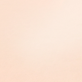 AS Creation Trendwall 2  36932-4