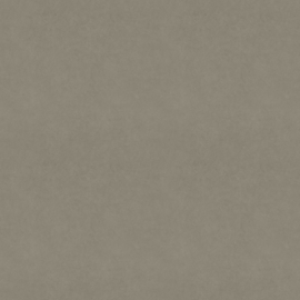Dutch Wallcoverings First Class Baile Behang BA0016