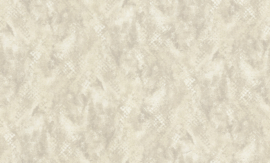 Dutch Wallcoverings Roberto Cavalli 9 Behang 21053