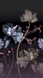 Dutch Wall Decor Fashion For Walls 4 Fotobehang 2540N-81