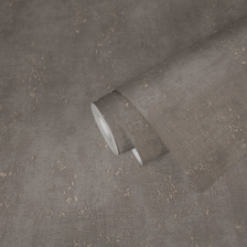 A.S Creation Titanium 3 Behang 38195-3